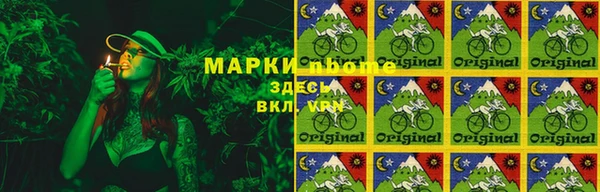 молекула духа Надым