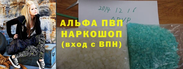 ПСИЛОЦИБИНОВЫЕ ГРИБЫ Арсеньев